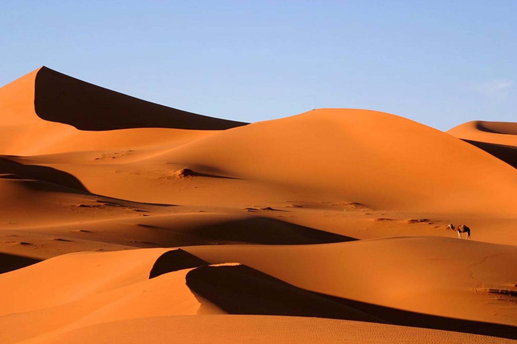 Desert Chegaga Luxury Camp El Gouera Eksteriør bilde